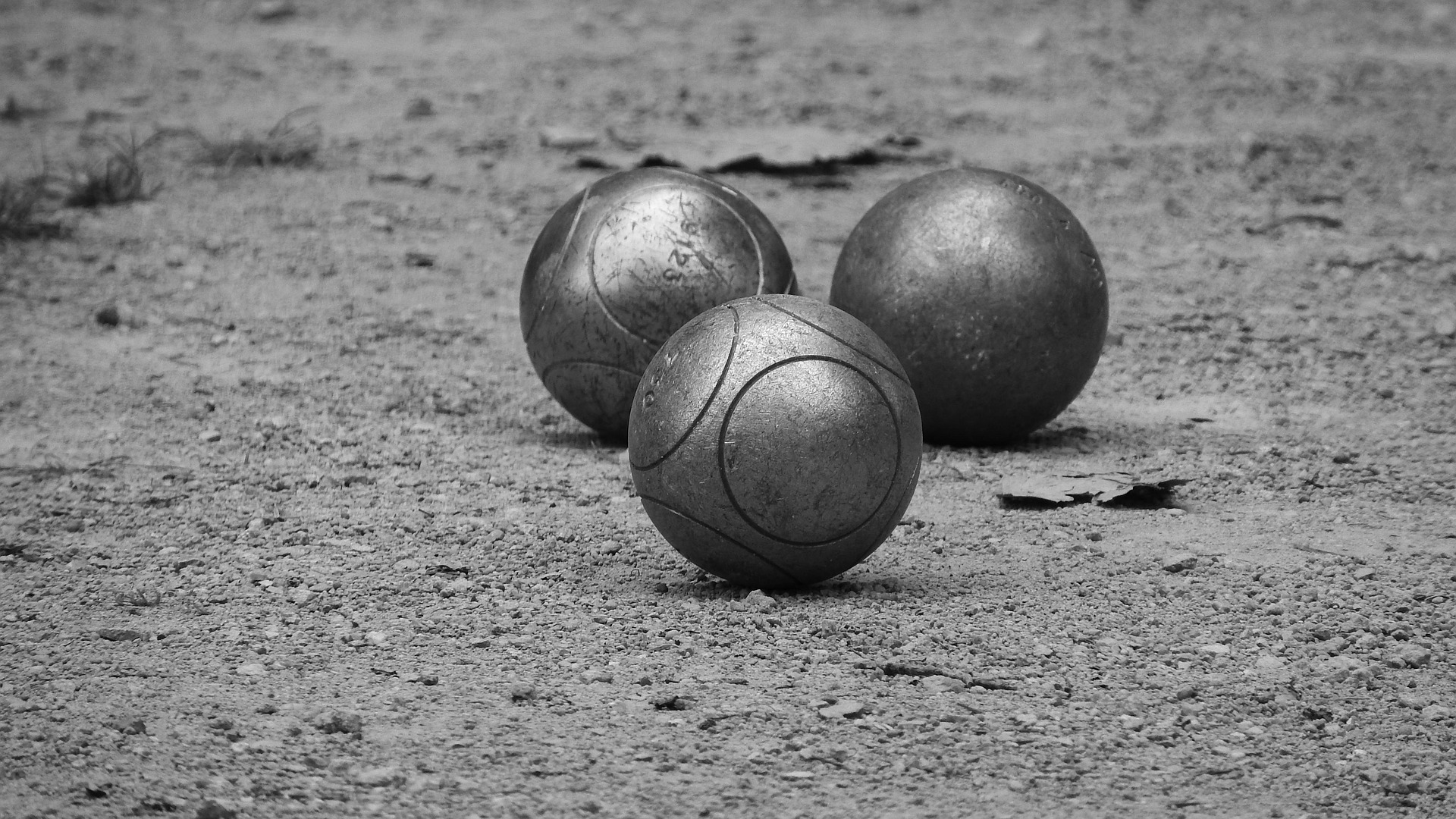 Biuro Terenowe w Ciechanowie zaprasza na III Towarzyski Turniej Gry w Boule o Puchar Przewodniczącej OR MOIIB 29sierpnia 2026r.godz. 10.00